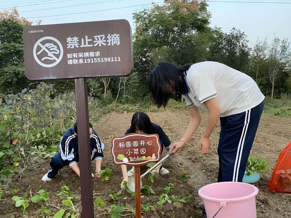 宁德TOP10特殊叛逆教育学校哪家好