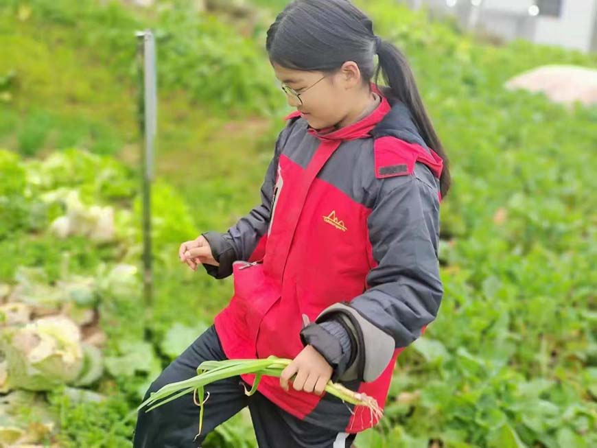 矫正叛逆孩子学校综合榜
