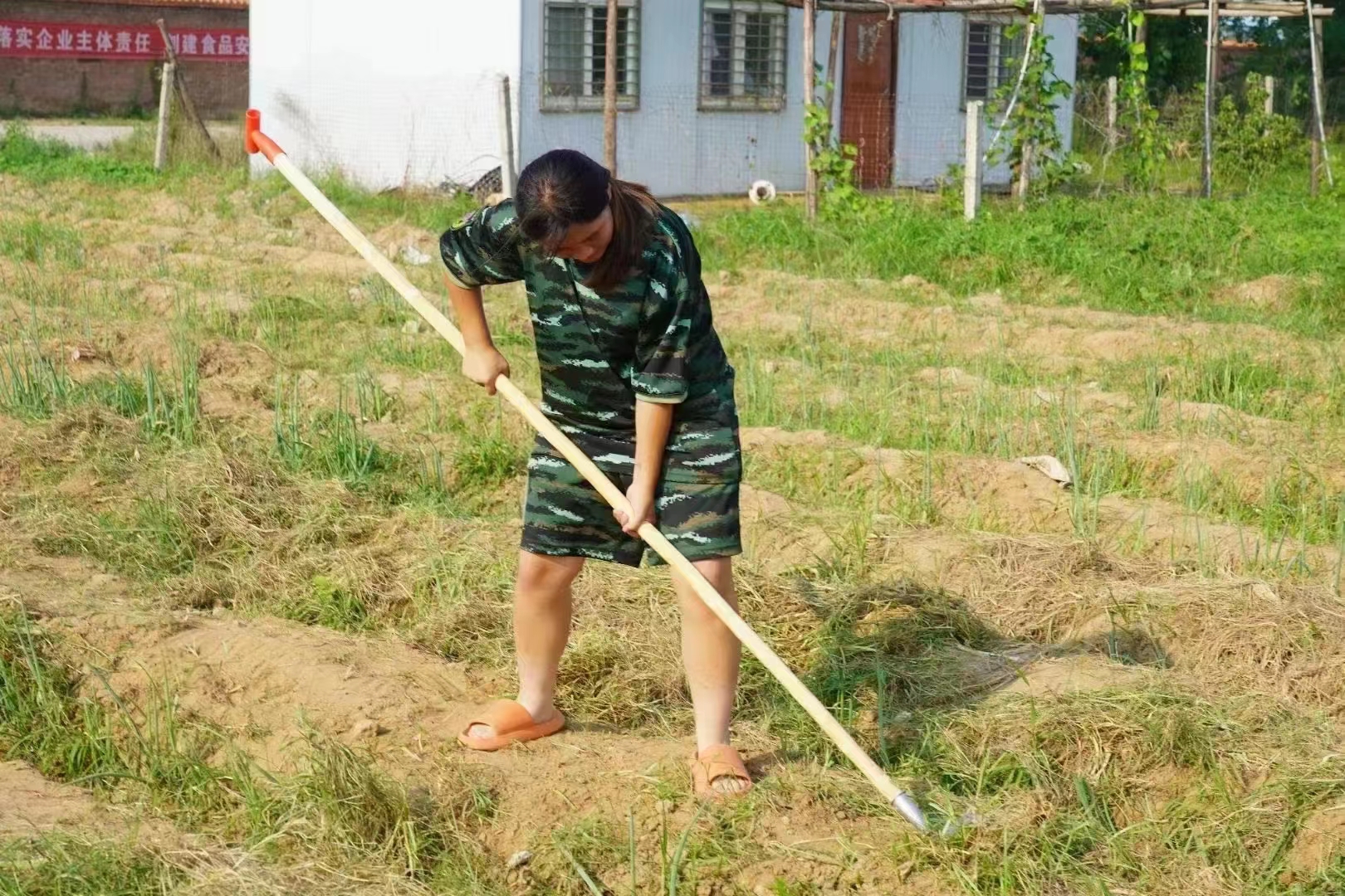 河南封闭式管理的叛逆学校