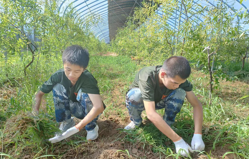 丽江正规青少年厌学学校精选榜单